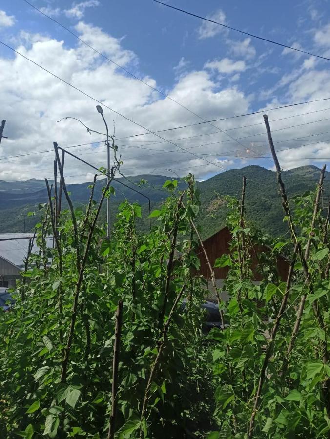 Bbq House Apartman Dilisan Kültér fotó